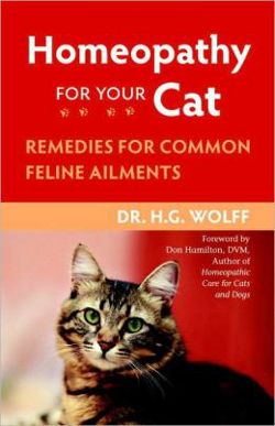 Homeopathy for Your Cat Remedies for Common Feline Ailments